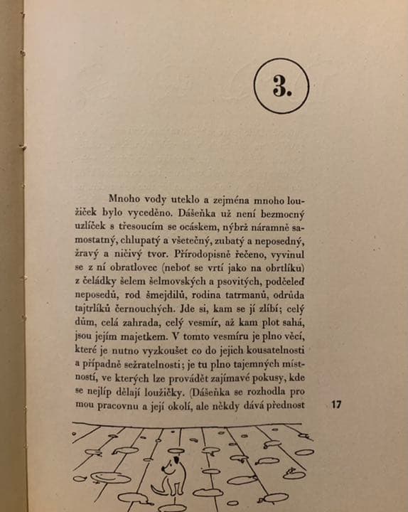 【稀覯本】カレル・チャペック著『ダーシェンカ』Dášeňka 1946年版