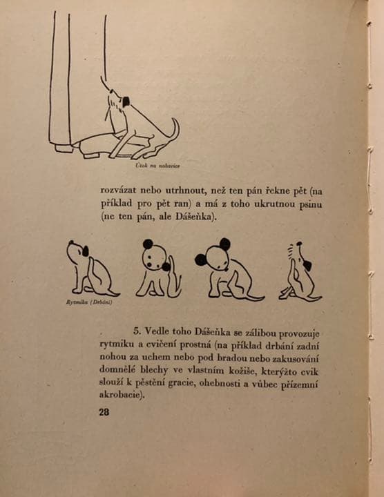 【稀覯本】カレル・チャペック著『ダーシェンカ』Dášeňka 1946年版