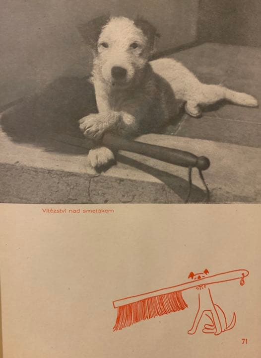 【稀覯本】カレル・チャペック著『ダーシェンカ』Dášeňka 1946年版