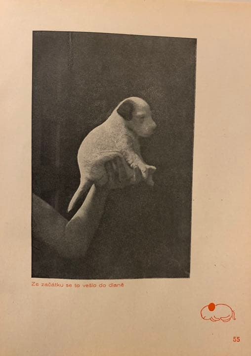 【稀覯本】カレル・チャペック著『ダーシェンカ』Dášeňka 1946年版