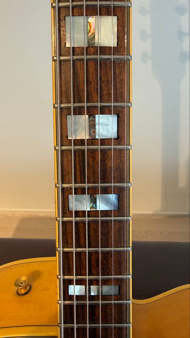 Vantage 655 フルアコ　17インチ