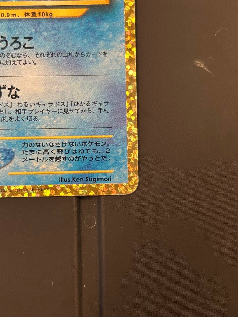 ひかるコイキング 25th ANNIVERSARY プロモ