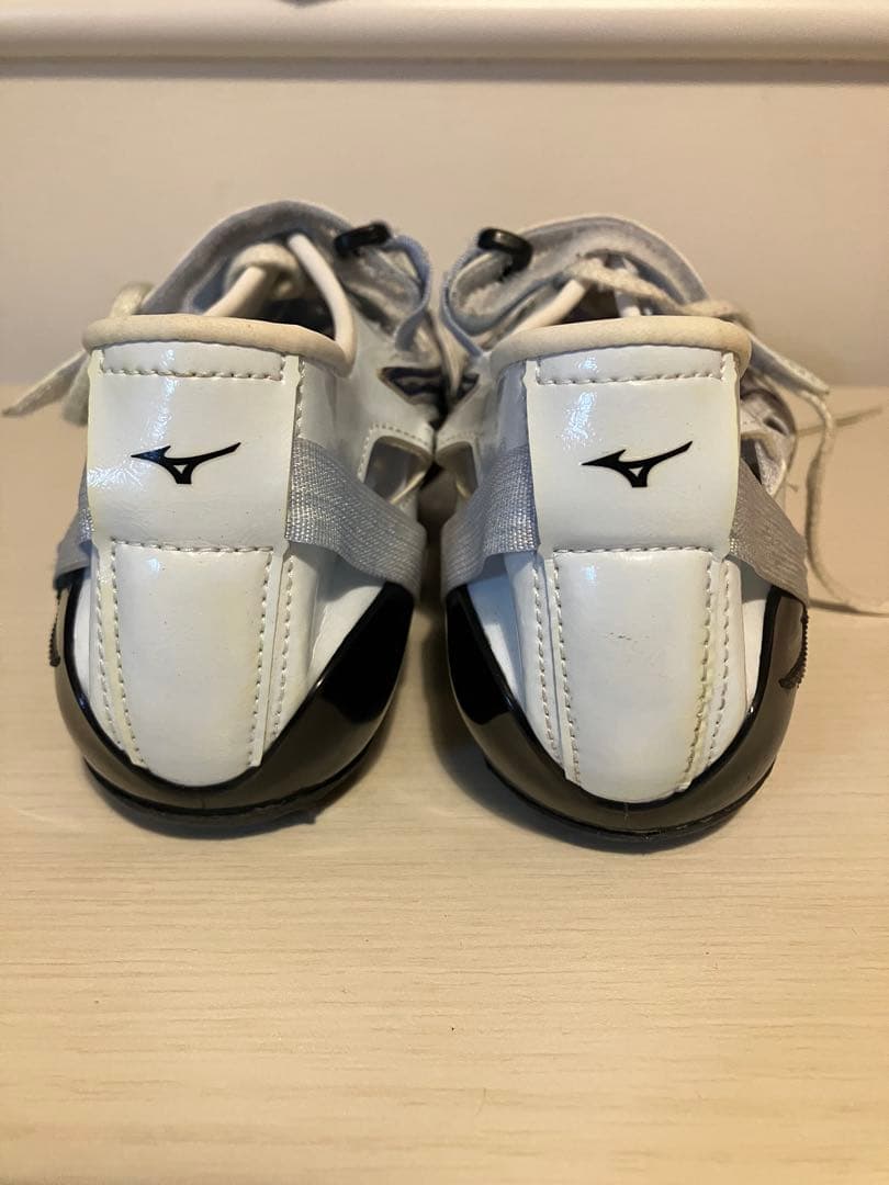 27.0 インクスネオジャパン