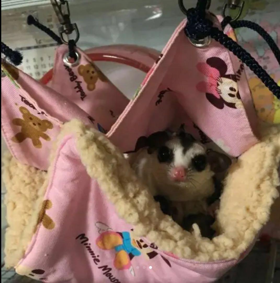 モモンガハウス(ハリネズミ他アニマル・パン柄)ボアベージュ  1850円