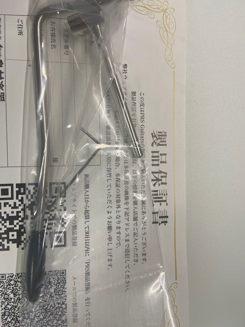 【試奏のみ】PRS SE Custom24 Whale Blue