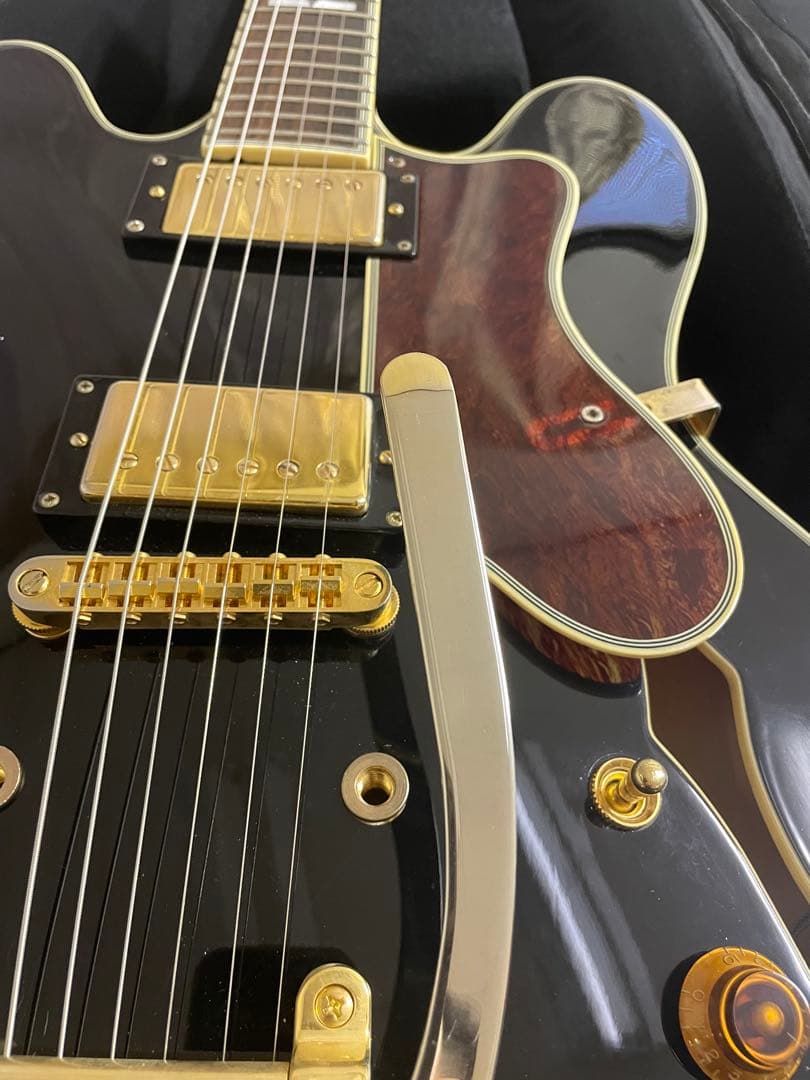 EPIPHONE エピフォン SHERATON シェラトン Ⅱ EB