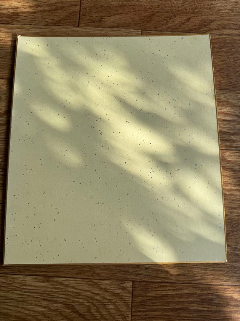 西武ライオンズ　大友進選手　直筆サイン色紙