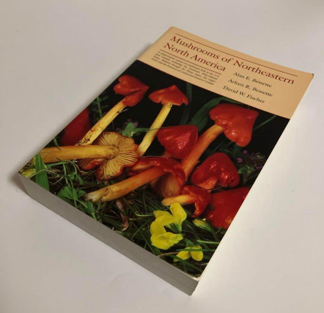 洋書　きのこ図鑑　北アメリカ北東部のきのこ