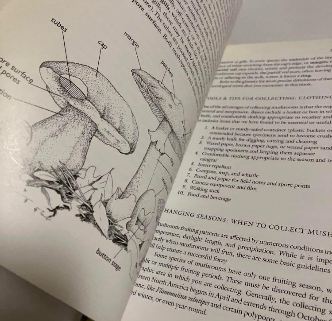 洋書　きのこ図鑑　北アメリカ北東部のきのこ