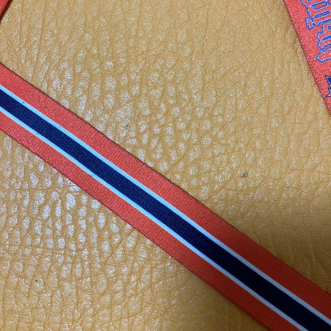 【ネックストラップ付】アルビレックス新潟 2017 ホームユニフォーム Oサイズ