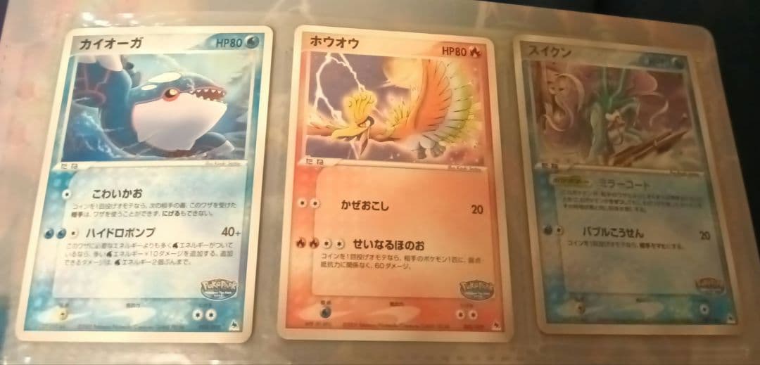 ポケパーク2005年限定　ポケモンカードプレミアムファイル