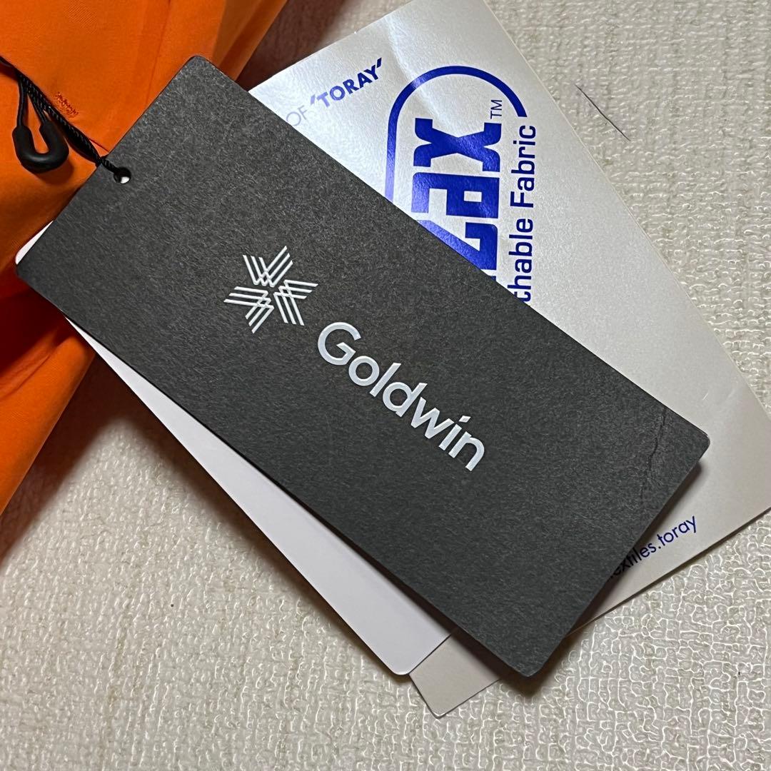 【未使用】GOLD WINゴールドウィン　スキースノボパンツ/レディース