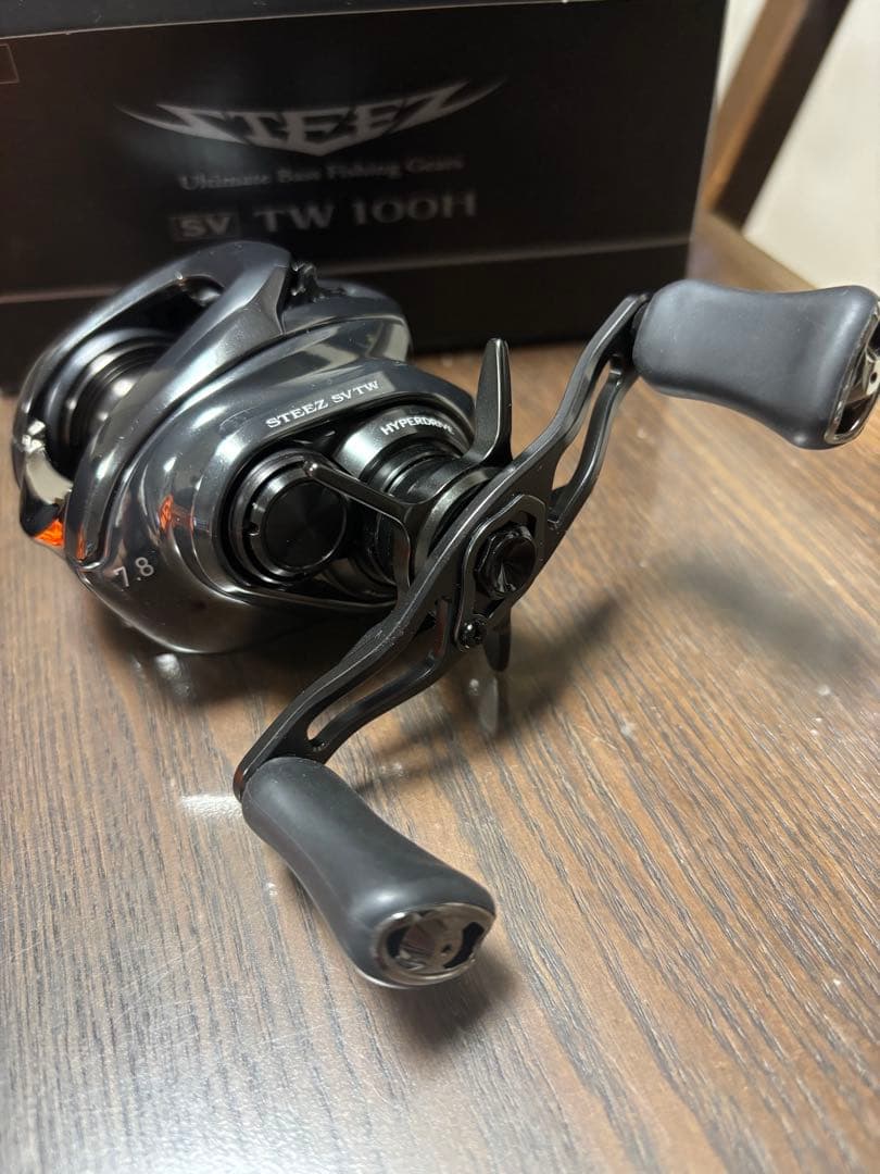 ダイワ 24スティーズSV TW 100H