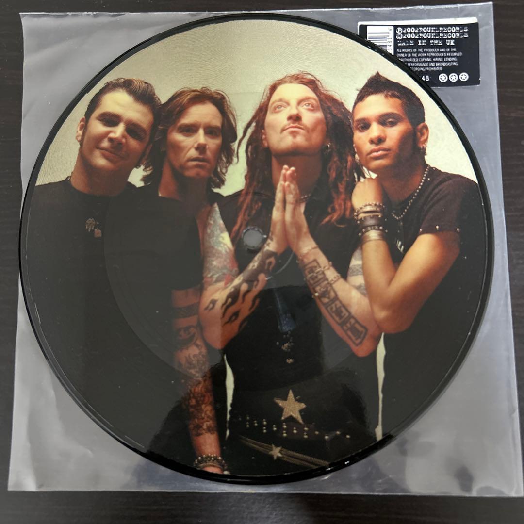 The Wildhearts レコードコレクション