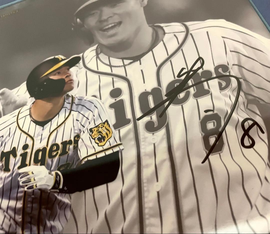 佐藤輝明 2021年　ルーキー　甲子園初ホームラン記念　直筆サイン　写真