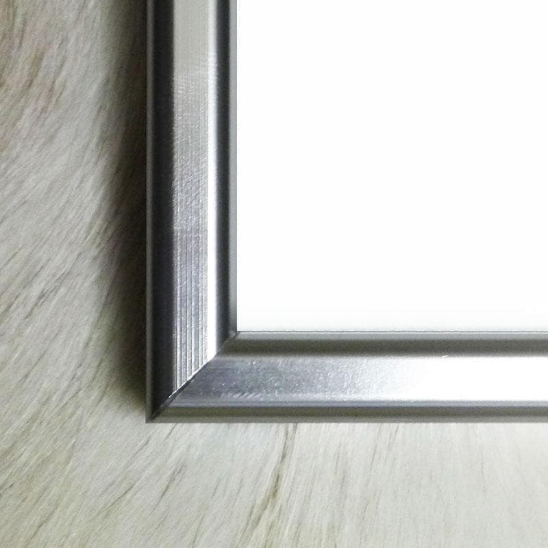 額装品/Bjork/ビョーク/Black Lake2015年/アート/インテリア