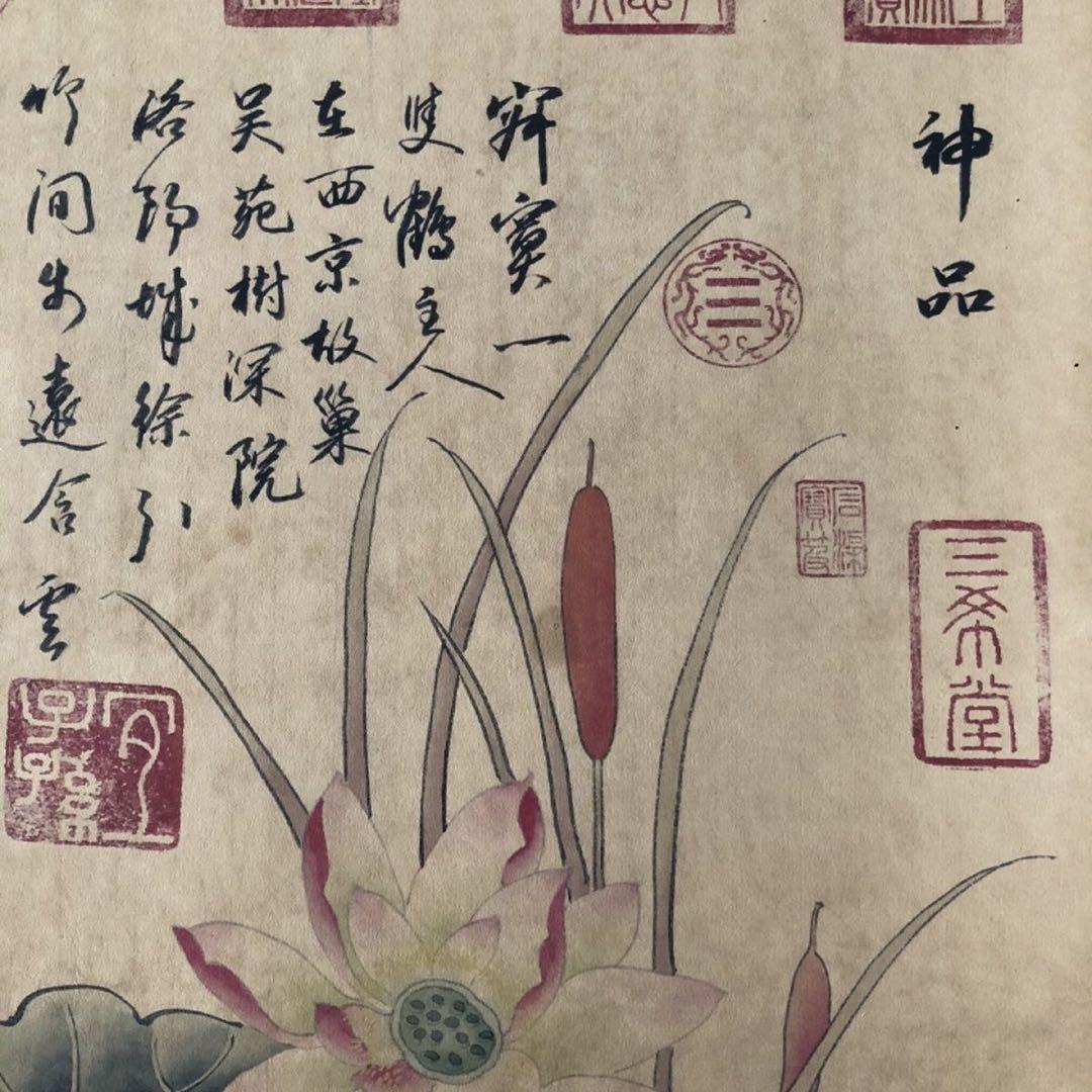 呂紀 荷花双鶴図 掛け軸 三尺中堂 サイズ：174×77cm