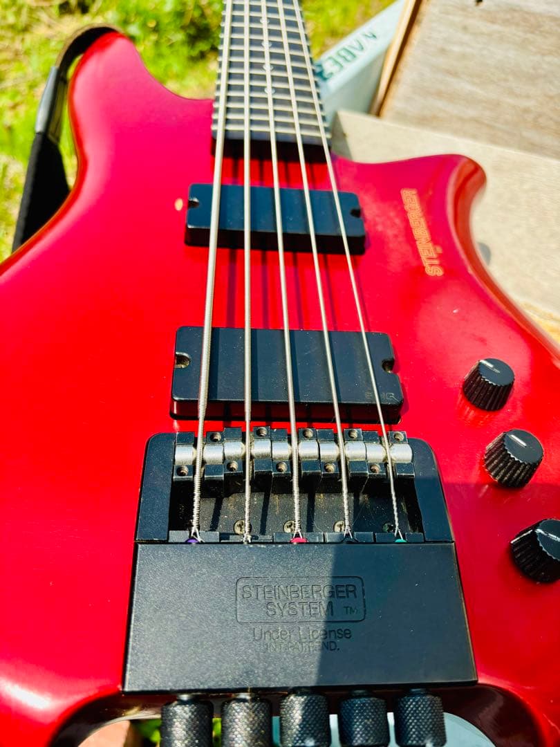 Steinberger XQ-25 1991 PLEK済み