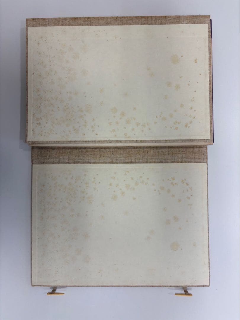 竹下金鳥　画　樂器集粹(楽器集粋) 完　1979年　芸艸堂