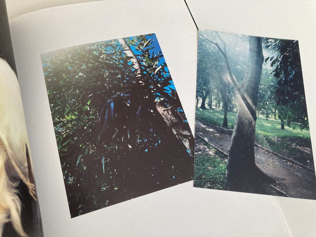 【プリント2枚付き、サイン入り】Vincent Delbrouck