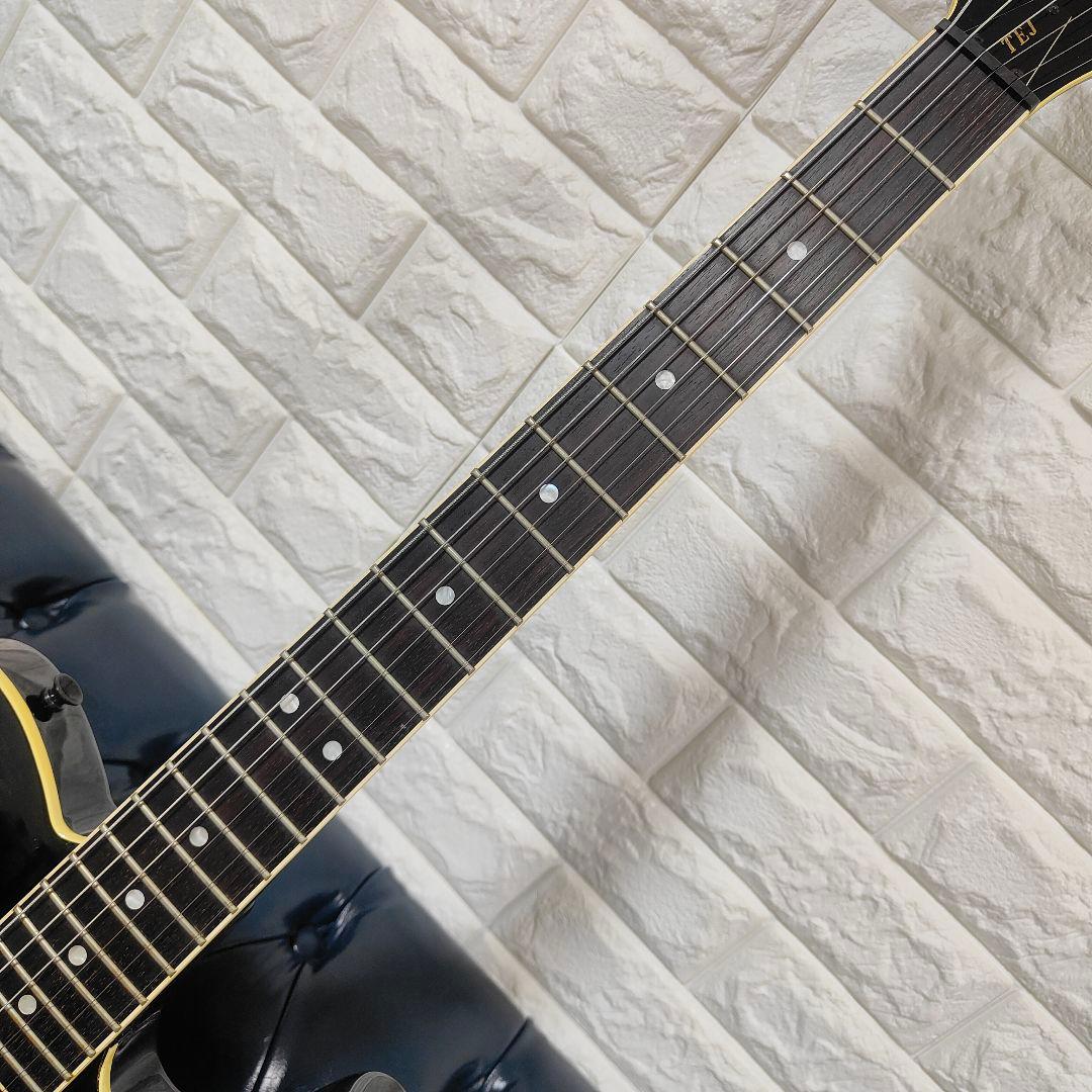 FERNANDES TEJ-STD LIMITED EDITION 布袋