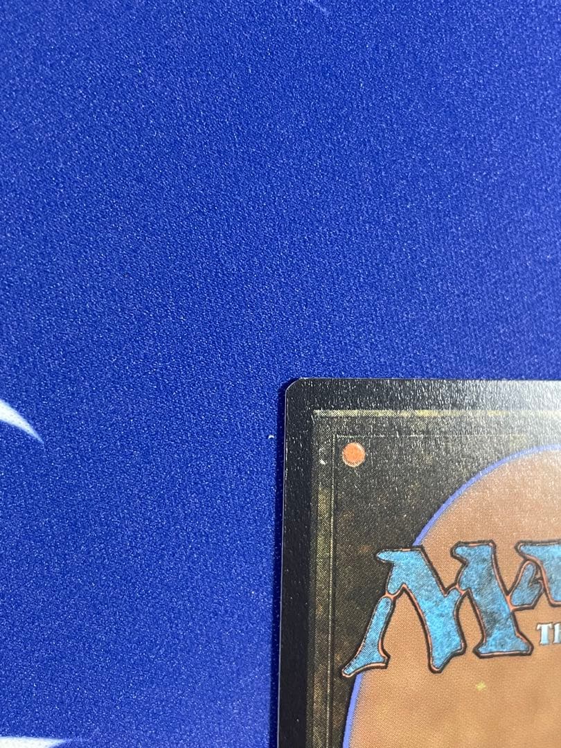 MTG/FF/拡張foil/日本語　聖竜フレースヴェルグ