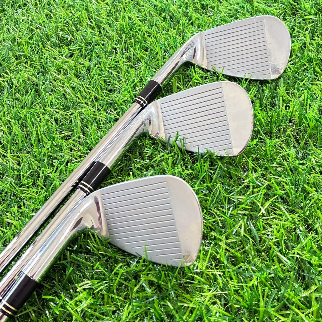 【名器】スリクソン PRO-100 アイアン 7本 R マッスルバック 軟鉄鍛造