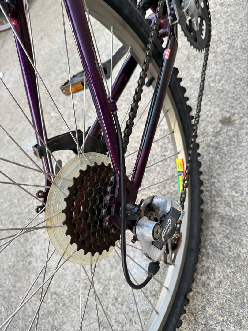 自転車本体 Raleigh USA