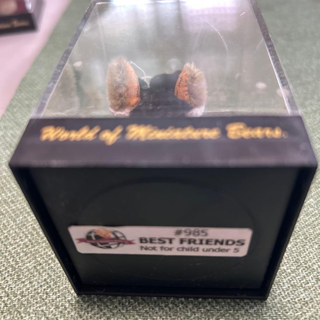 ワールドオブミニチュアベアーズ 5個