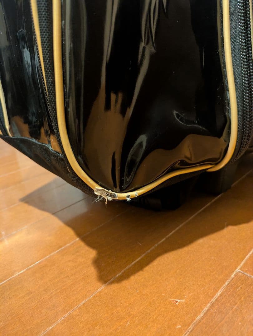 ボウリングバッグ　3個　Brunswick