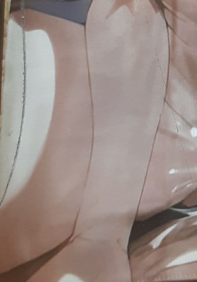 PRONIKE タペストリー 105×55cm　ボア・ハンコック