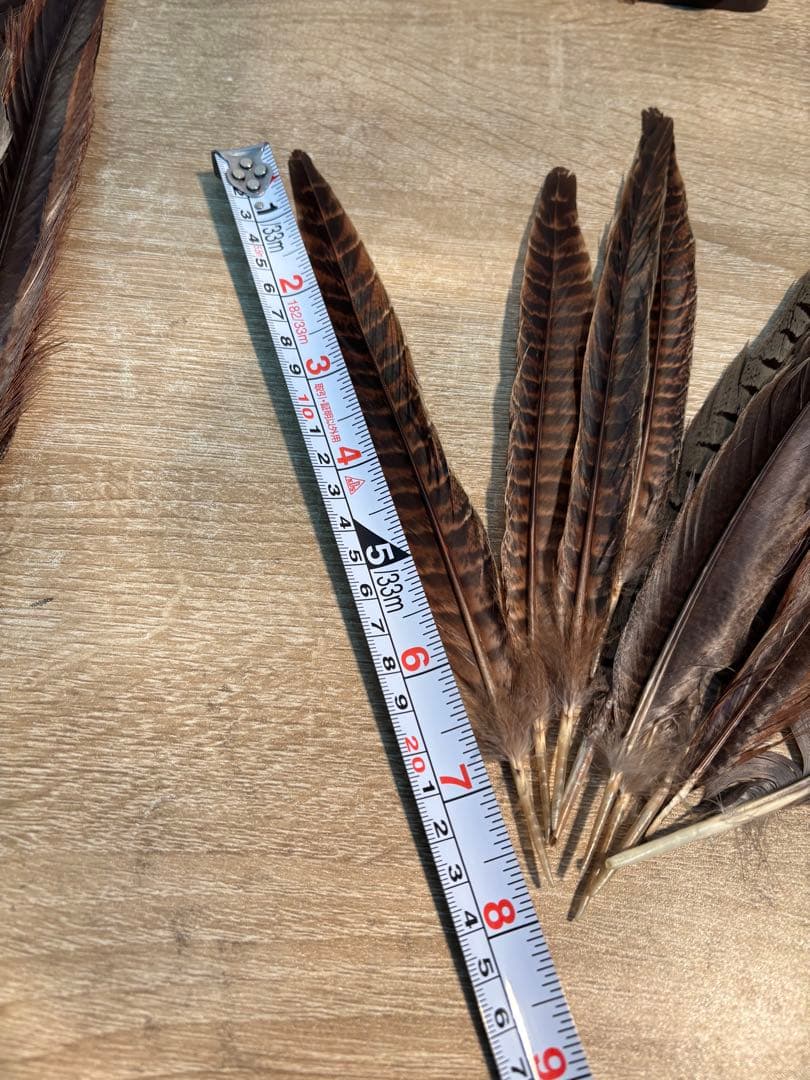 茶道具 羽箒 白鳥 風炉 茶道　羽20本セット