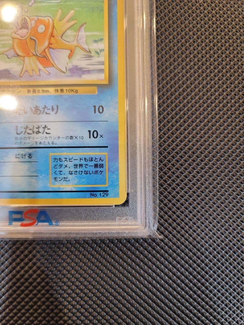 【PSA8】 コイキング　ポケモンカード 旧裏 初版 マークなし
