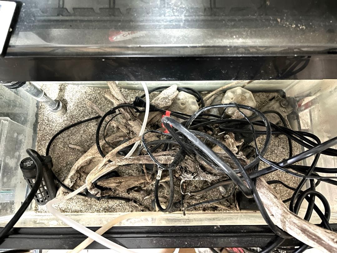 水槽 格安 ※引取限定※ 他掃除用具、濾過器写真同等一機