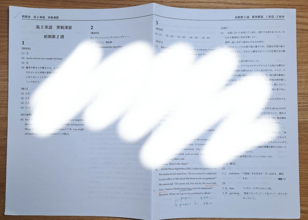 鉄緑会 高２英語1年分 テキスト/プリントセット