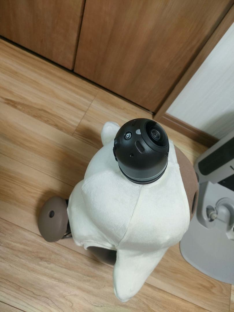 にゃんぴよ　2025年購入　LOVOT 2.0 ちゃ➕ネスト公式ウェア付き