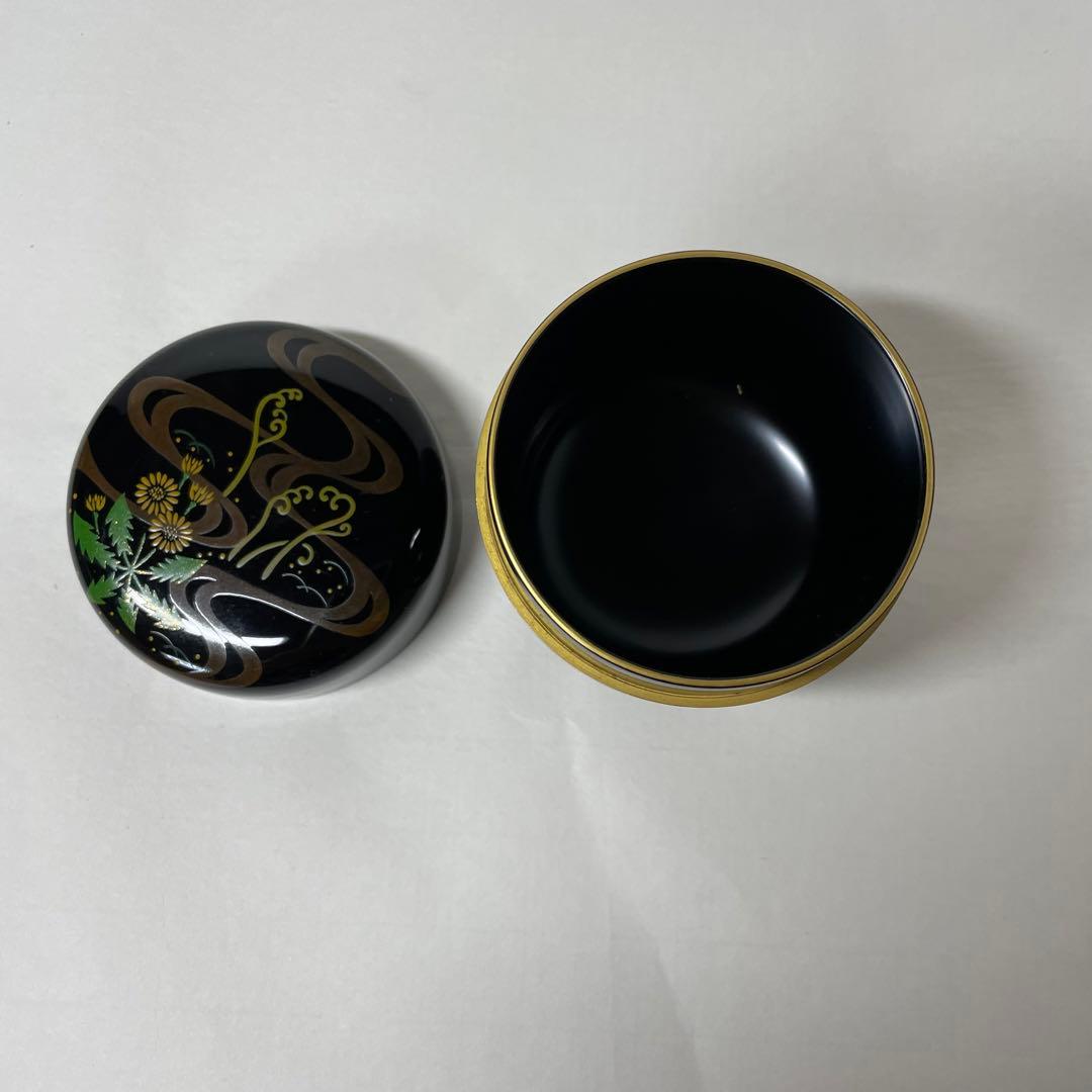 FD17 道馬順一作　鵬雲斎好写　「流水春草蒔絵大棗」茶入