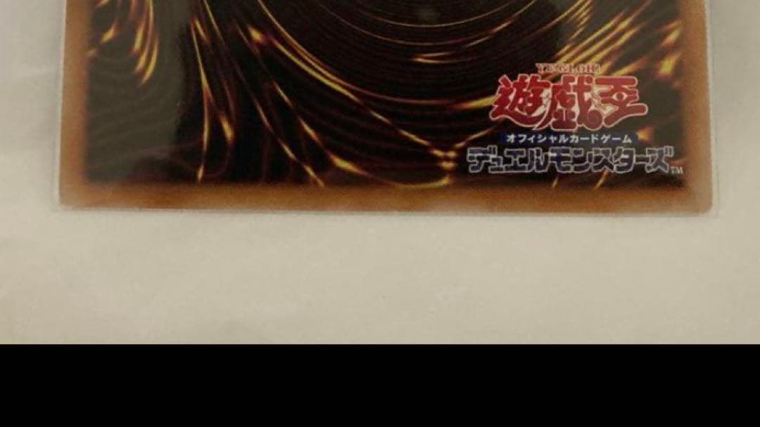 誇りと魂の龍　25th 日版