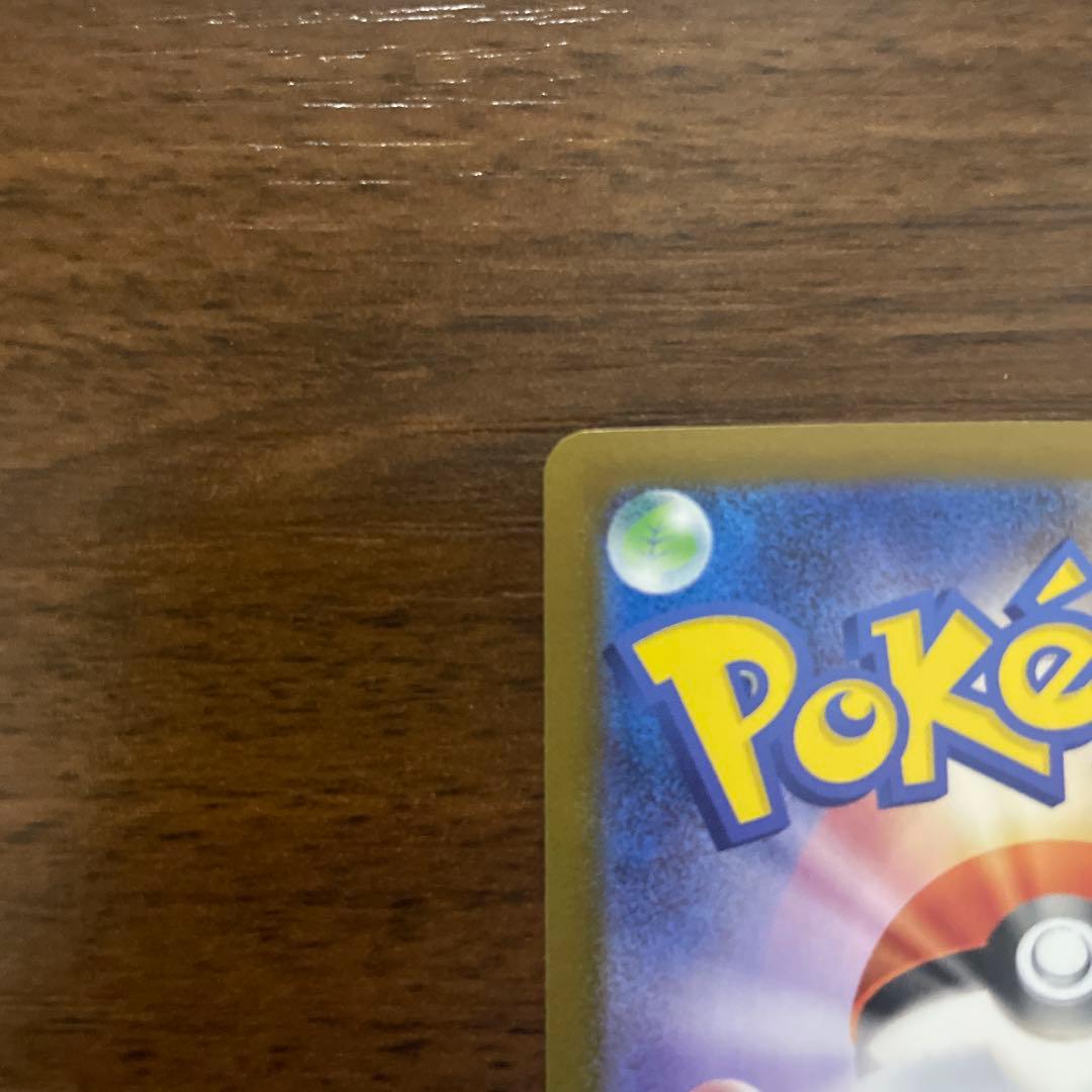 梅*種様 メガリザードンX ex HP360