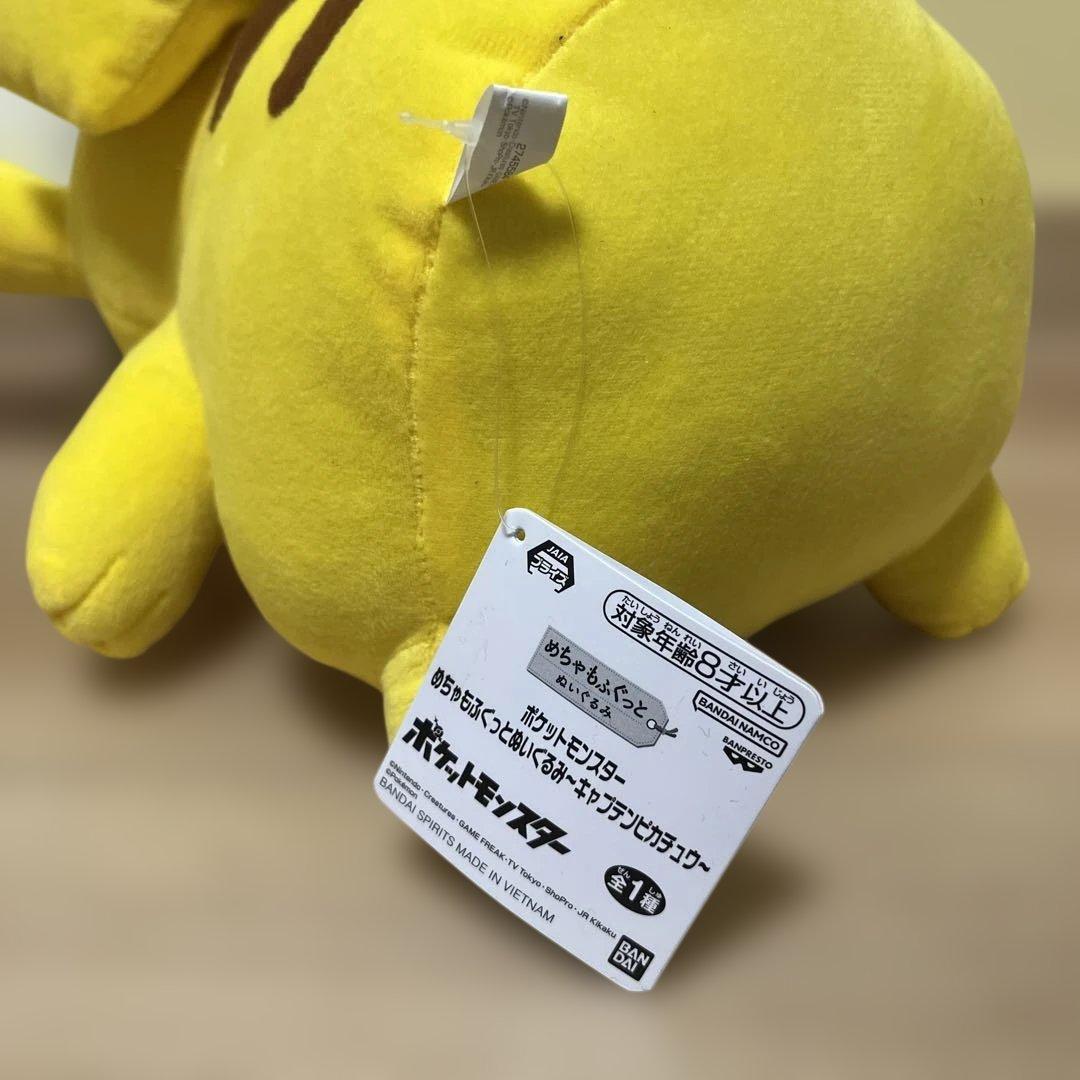 ポケモン　ぬいぐるみ　ルカリオ　デデンネ　ピカチュウ等10体　まとめ売り