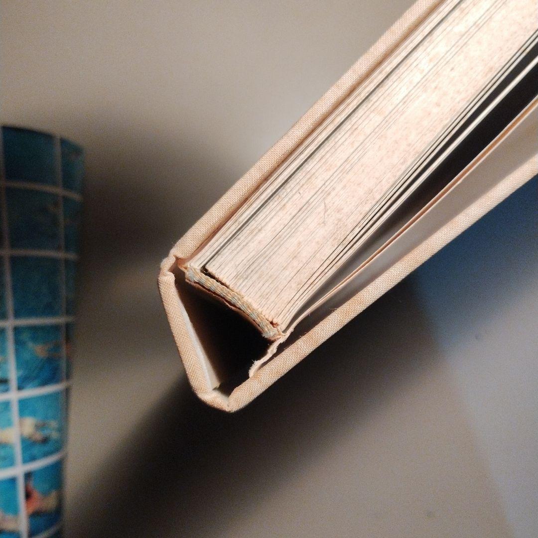 【希少】David Hockney CAMERAWORKS ホックニー 写真集