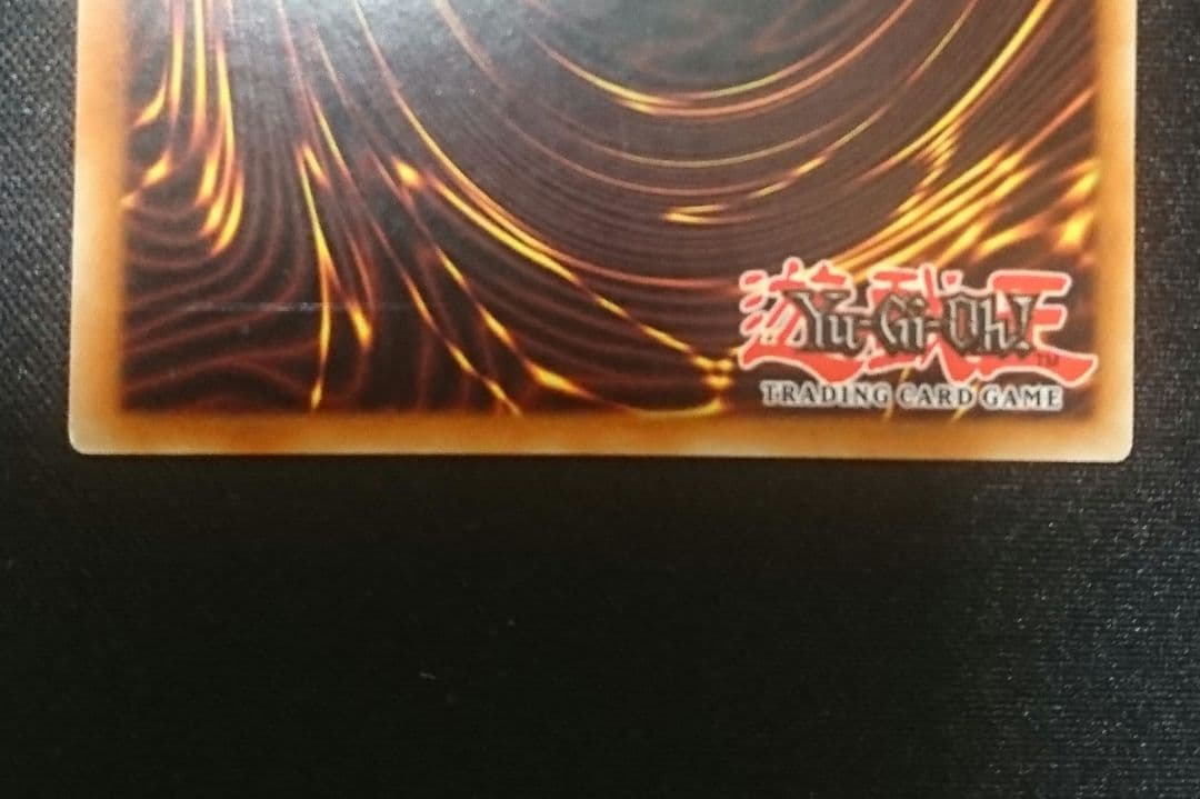 フォッシル・ダイナ パキケファロ　英語　EU版1stシークレット①　LODT