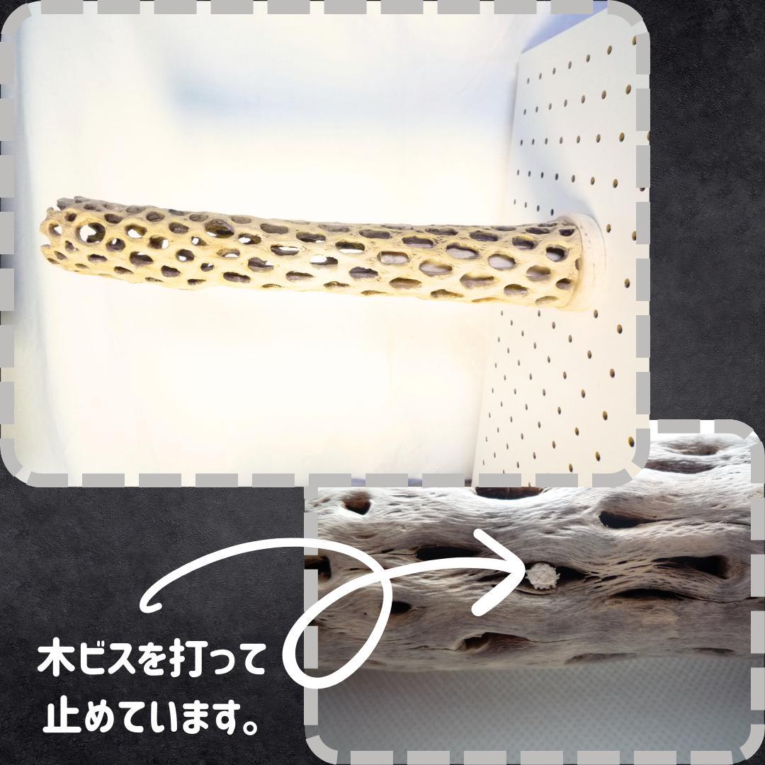 鳥用品　止まり木　カクタス　スケルトン　パーチ　特大No.216