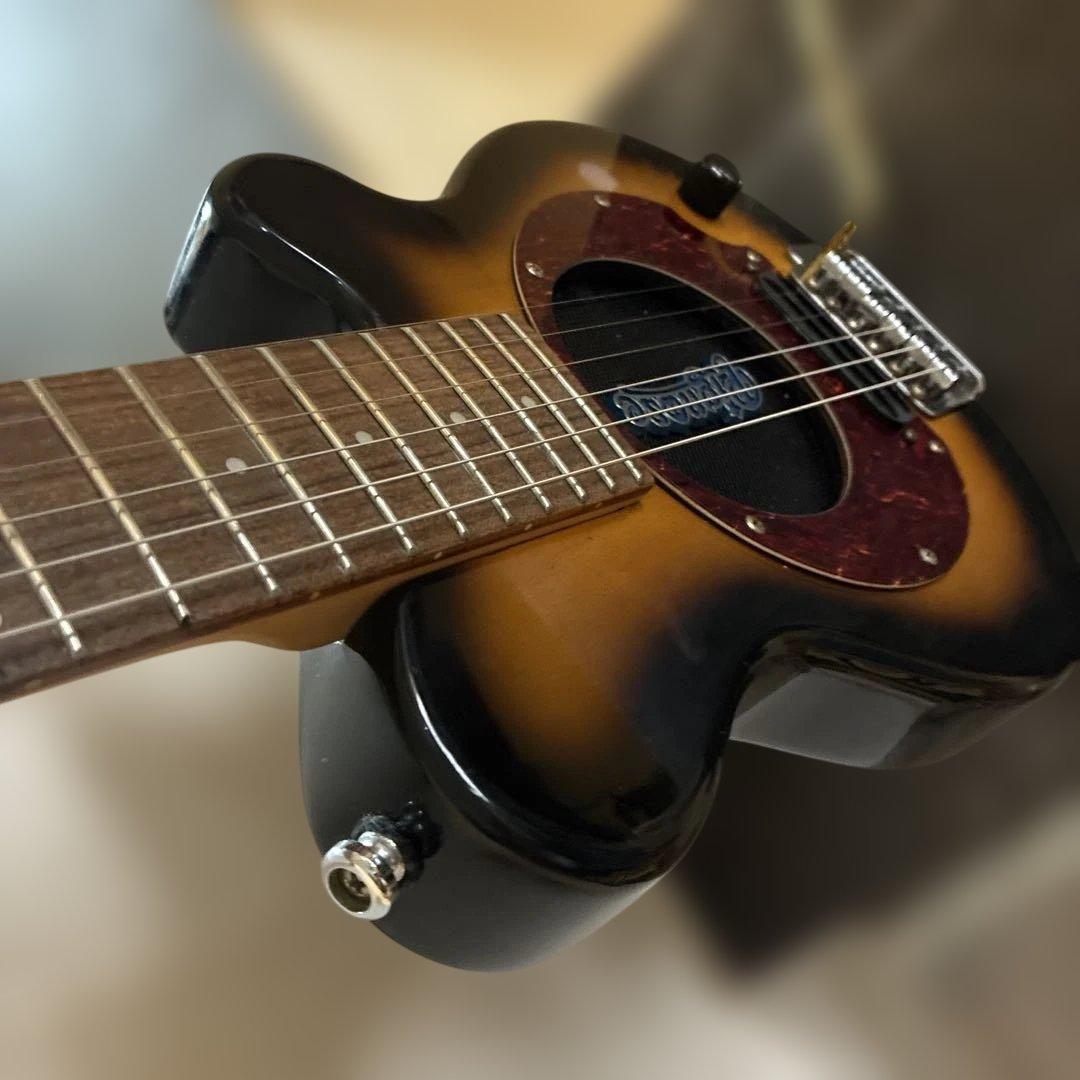 ピグノーズPGG100 サンバースト