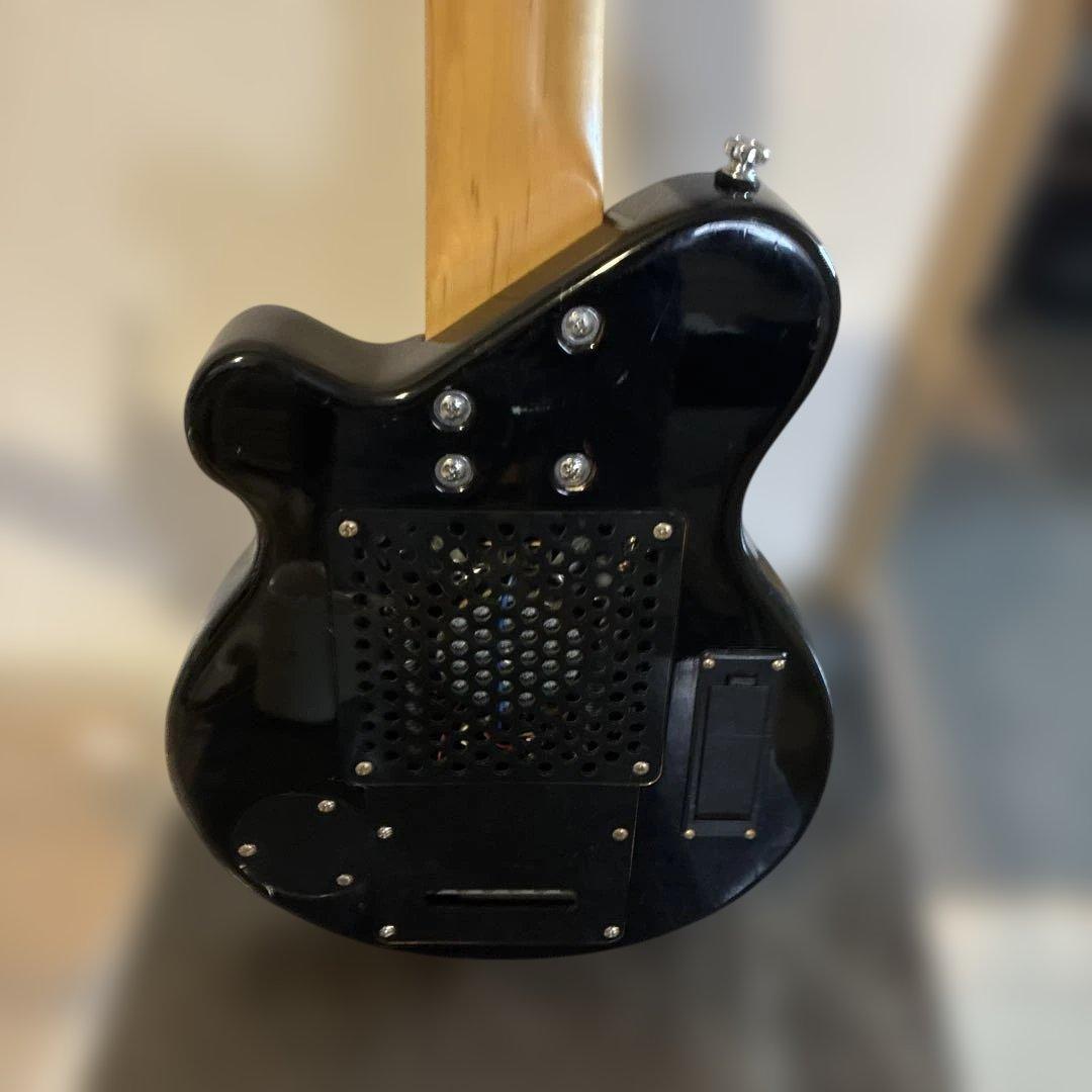 ピグノーズPGG100 サンバースト