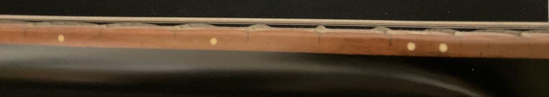 【稀少❗️】Danelectro 56 Pro エレキギター