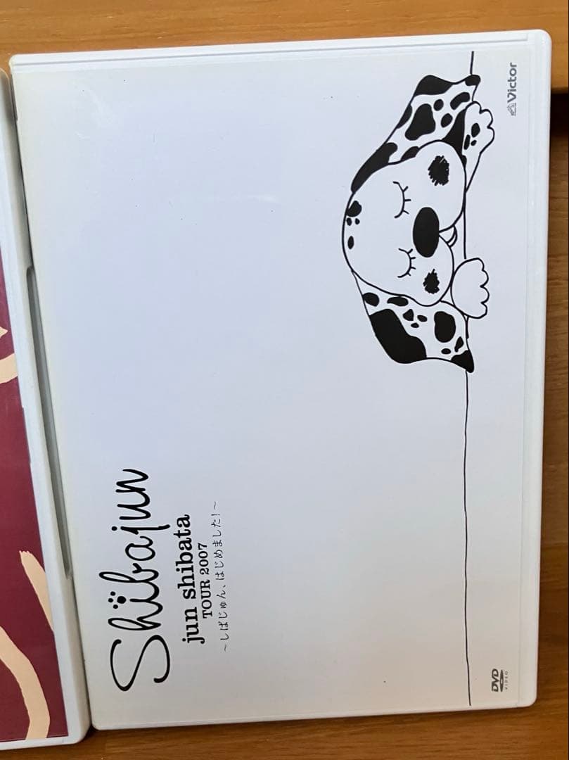柴田淳　コンサートツアー　DVD 4枚セット