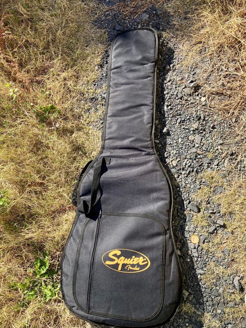 アリアプロ2 714-AE200 MP AE -Aria Evergreen