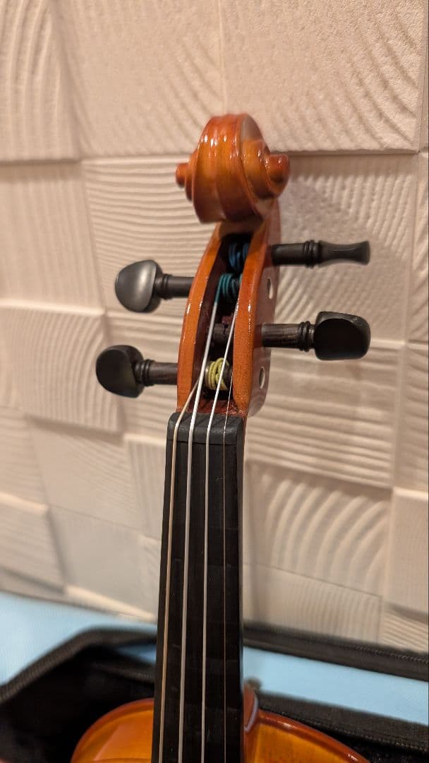 ヴァイオリン CARLO GIORDANO VS-1 1/4 バイオリンセット