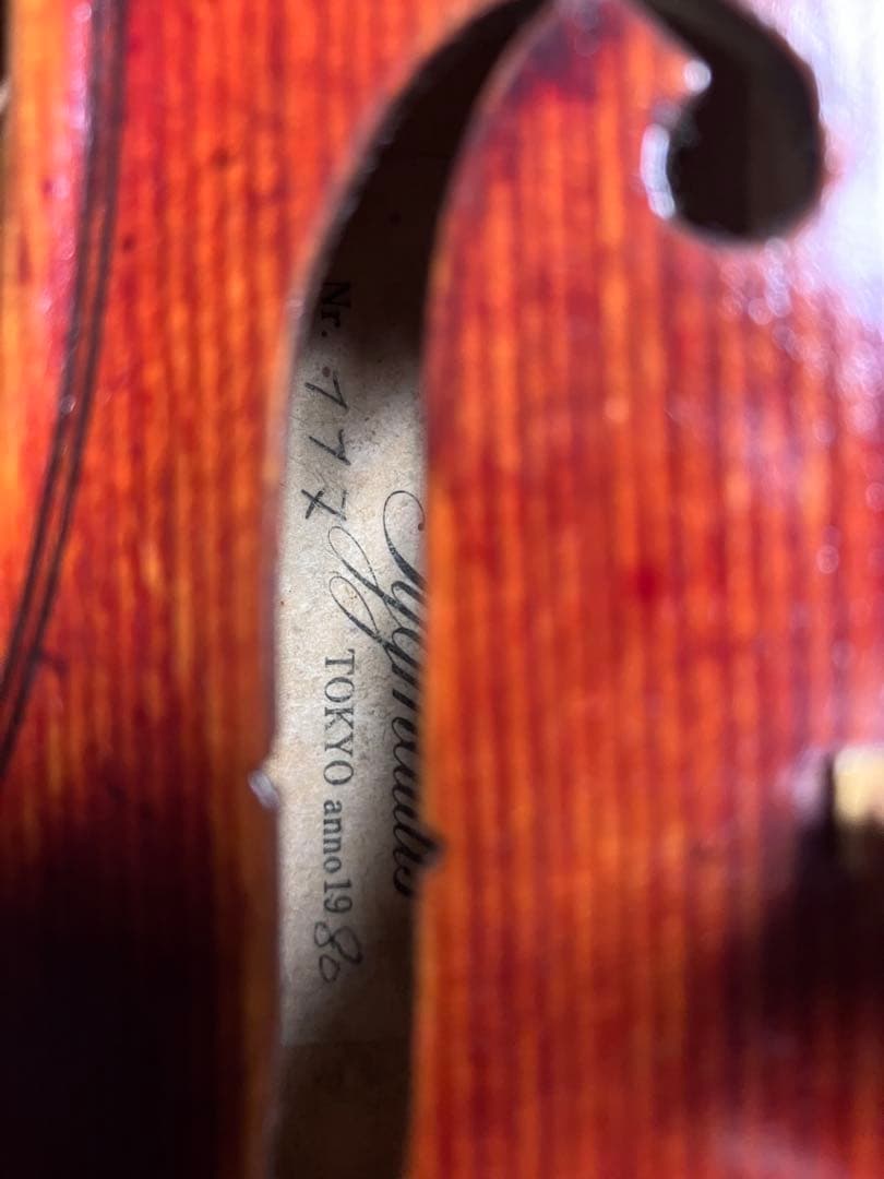 バイオリン本体(メンテナンス済み)